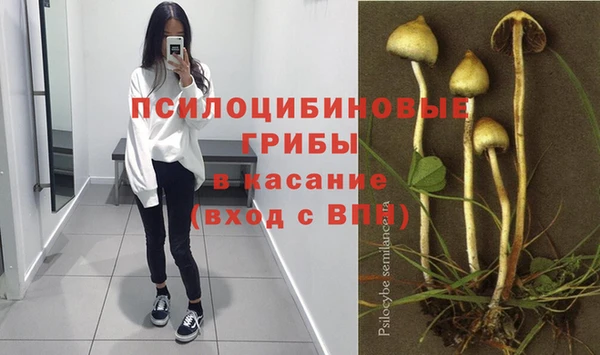 эйфоретик Абинск